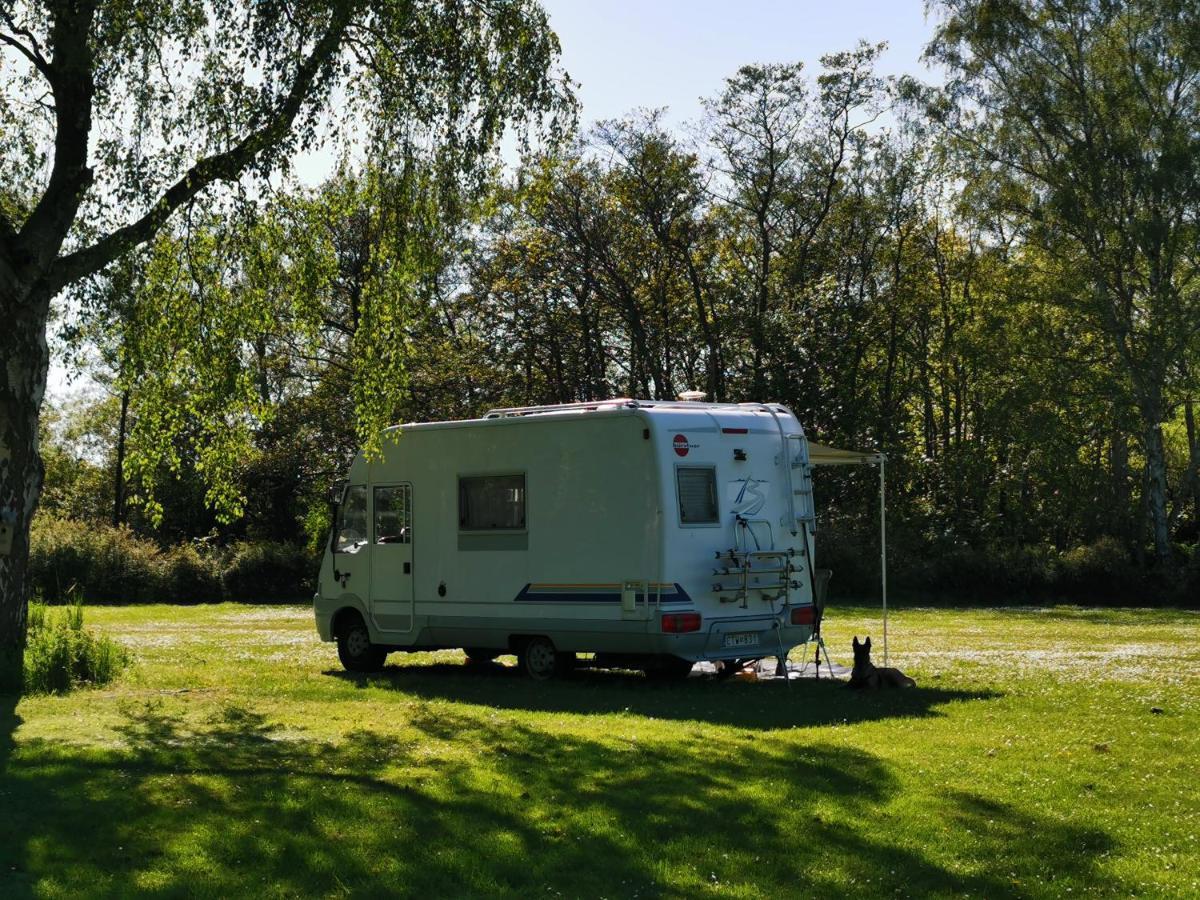 Frederiksvaerk Camping & Hostel ภายนอก รูปภาพ
