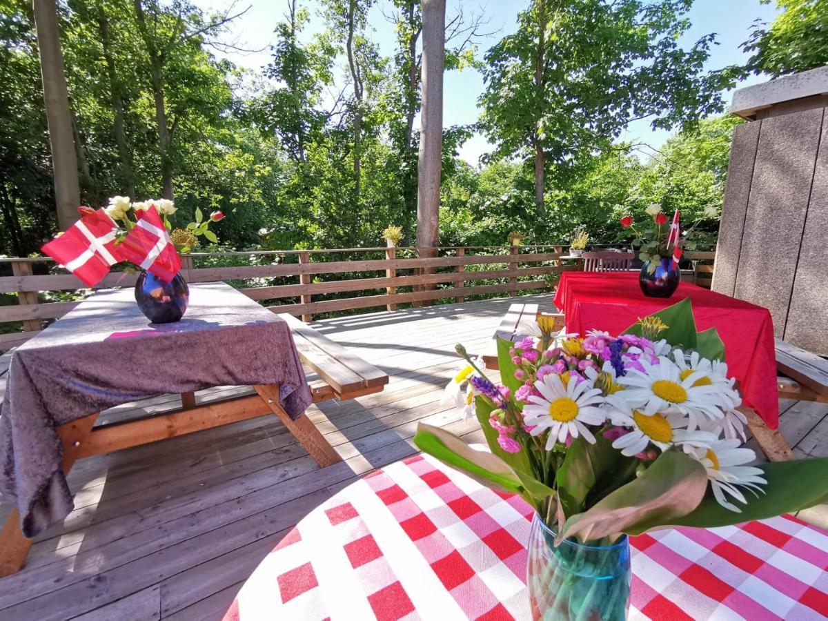 Frederiksvaerk Camping & Hostel ภายนอก รูปภาพ
