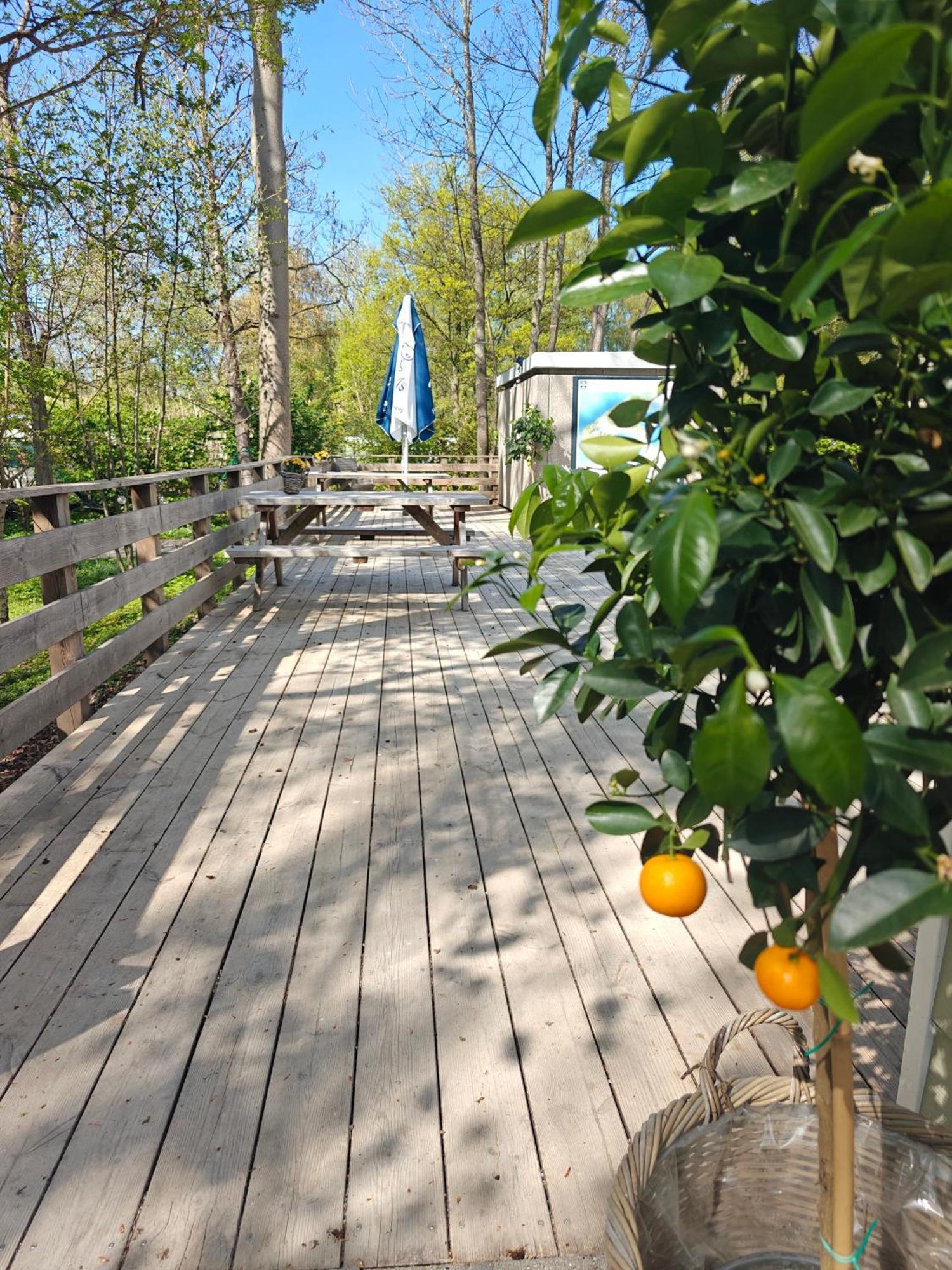 Frederiksvaerk Camping & Hostel ภายนอก รูปภาพ