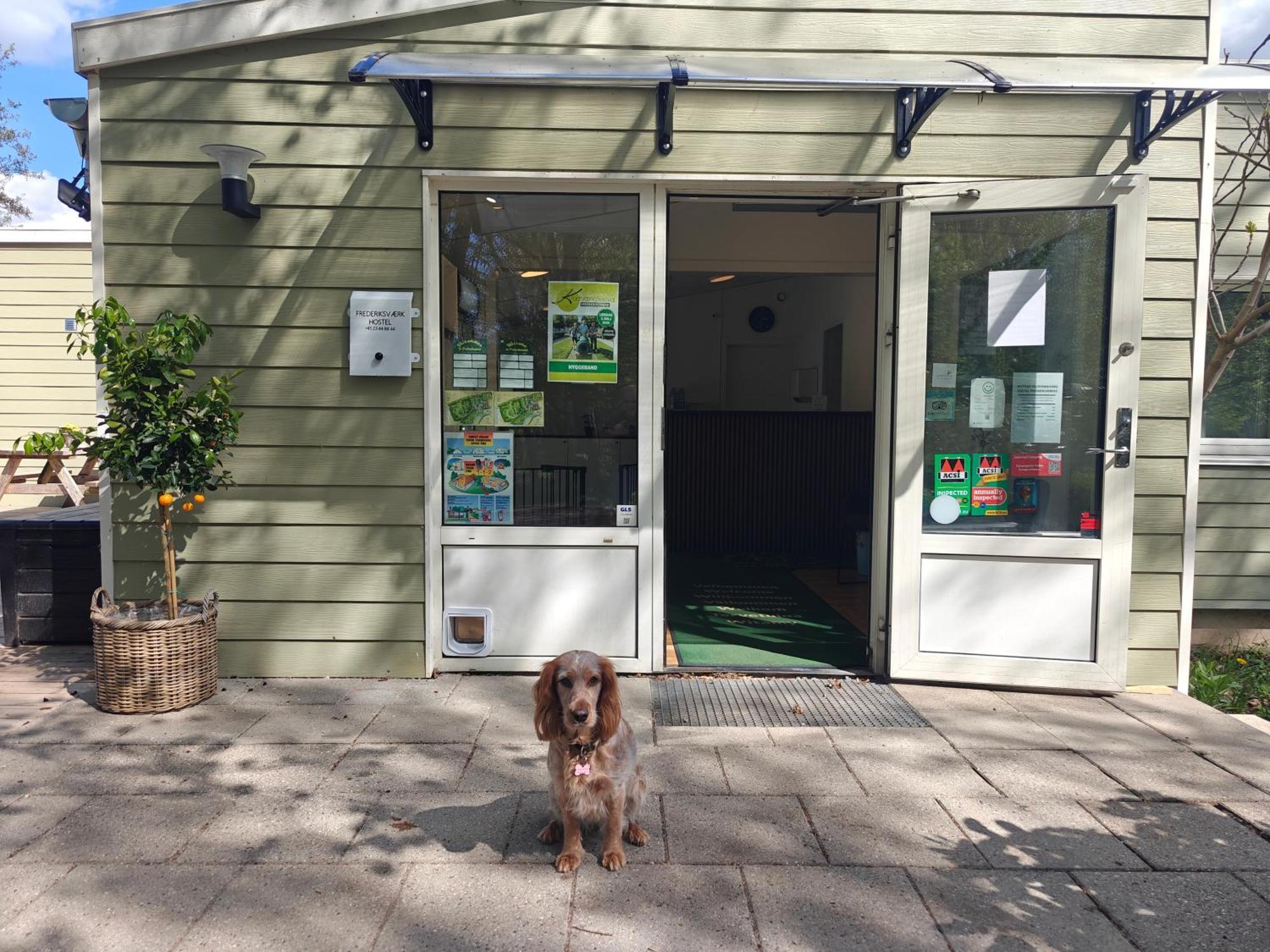 Frederiksvaerk Camping & Hostel ภายนอก รูปภาพ