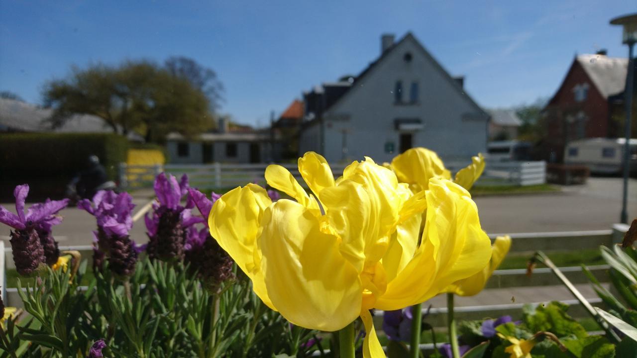 Frederiksvaerk Camping & Hostel ภายนอก รูปภาพ